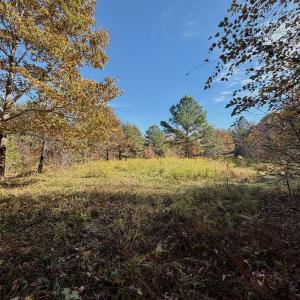 Photo #62 of Off Slatesville Road, Keeling, VA 40.0 acres