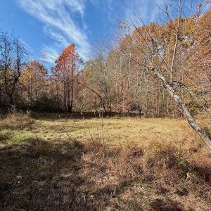 Photo #81 of Off Slatesville Road, Keeling, VA 40.0 acres