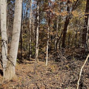 Photo #82 of Off Slatesville Road, Keeling, VA 40.0 acres