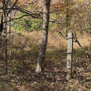 Photo #83 of Off Slatesville Road, Keeling, VA 40.0 acres