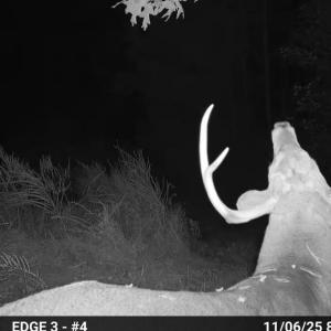 Photo #85 of Off Slatesville Road, Keeling, VA 40.0 acres