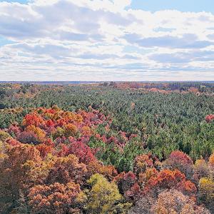 Photo #13 of Off Camp Ground Rd., Emporia, VA 15.0 acres