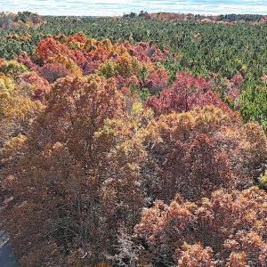 Photo #14 of Off Camp Ground Rd., Emporia, VA 15.0 acres