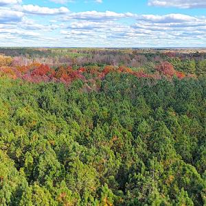 Photo #17 of Off Camp Ground Rd., Emporia, VA 15.0 acres