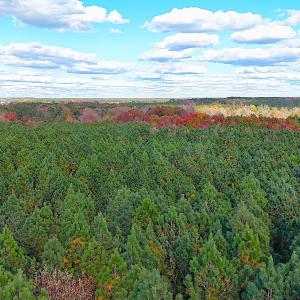 Photo #18 of Off Camp Ground Rd., Emporia, VA 15.0 acres