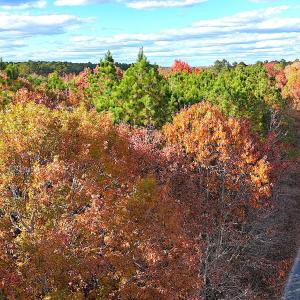 Photo #21 of Off Camp Ground Rd., Emporia, VA 15.0 acres