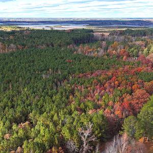 Photo #1 of Off Camp Ground Rd., Emporia, VA 15.0 acres