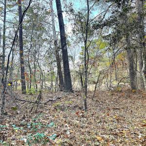 Photo #23 of Off Camp Ground Rd., Emporia, VA 15.0 acres