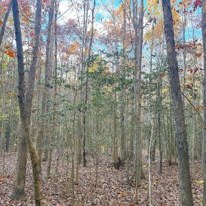 Photo #26 of Off Camp Ground Rd., Emporia, VA 15.0 acres