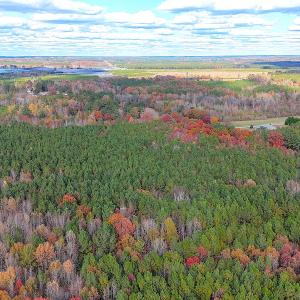 Photo #6 of Off Camp Ground Rd., Emporia, VA 15.0 acres