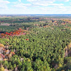 Photo #8 of Off Camp Ground Rd., Emporia, VA 15.0 acres