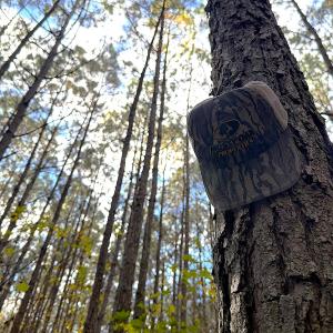 Photo #10 of Off Camp Ground Rd., Emporia, VA 15.0 acres