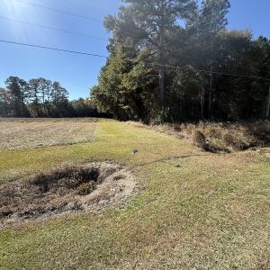 Photo #38 of Off E Pleasant Hill Rd, Pink Hill, NC 81.0 acres