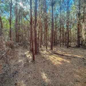 Photo #52 of Off E Pleasant Hill Rd, Pink Hill, NC 81.0 acres