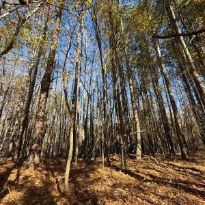 Photo #8 of Off Russell Union Road, Manson, NC 8.0 acres