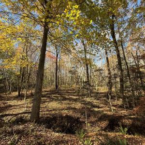 Photo #9 of Off Russell Union Road, Manson, NC 8.0 acres