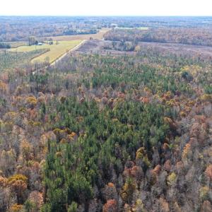 Photo #23 of Off Russell Union Road, Manson, NC 8.0 acres