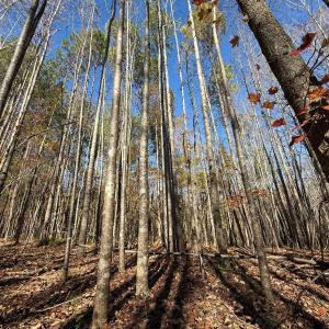 Photo #26 of Off Russell Union Road, Manson, NC 8.0 acres