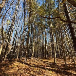 Photo #28 of Off Russell Union Road, Manson, NC 8.0 acres