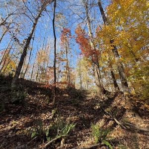 Photo #30 of Off Russell Union Road, Manson, NC 8.0 acres