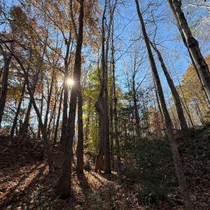 Photo #42 of Off Russell Union Road, Manson, NC 8.0 acres