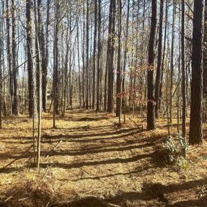 Photo #55 of Off Russell Union Road, Manson, NC 8.0 acres