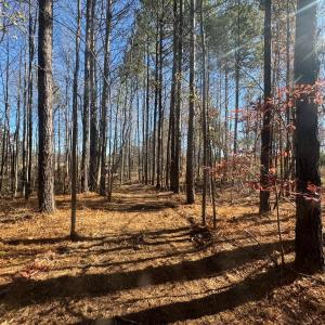 Photo #56 of Off Russell Union Road, Manson, NC 8.0 acres