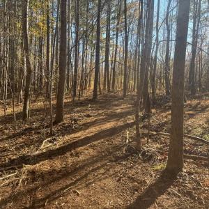 Photo #58 of Off Russell Union Road, Manson, NC 8.0 acres