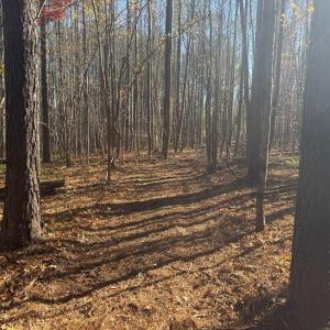 Photo #59 of Off Russell Union Road, Manson, NC 8.0 acres