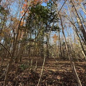 Photo #10 of Off Russell Union Road, Manson, NC 8.0 acres