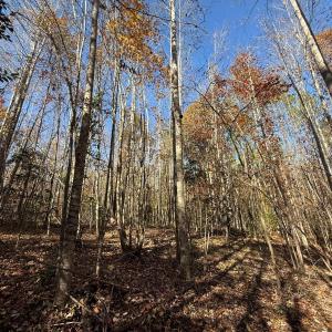 Photo #16 of Off Russell Union Road, Manson, NC 8.0 acres