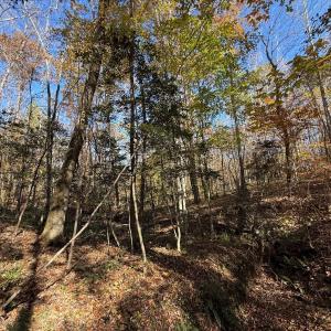 Photo #19 of Off Russell Union Road, Manson, NC 8.0 acres