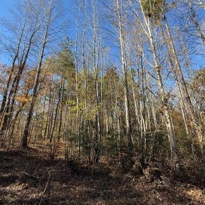 Photo #29 of Off Russell Union Road, Manson, NC 8.0 acres