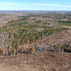 Photo #36 of Off Russell Union Road, Manson, NC 8.0 acres