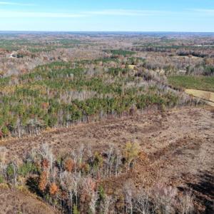 Photo #37 of Off Russell Union Road, Manson, NC 8.0 acres