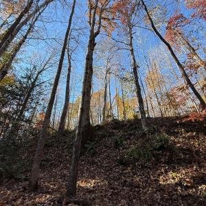 Photo #41 of Off Russell Union Road, Manson, NC 8.0 acres