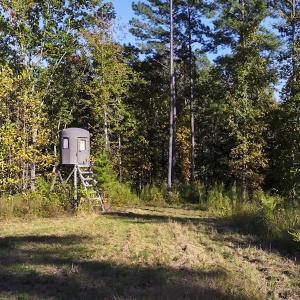 Photo #91 of 784 & 785 Glennie Irvin Road, Semora, NC 146.3 acres