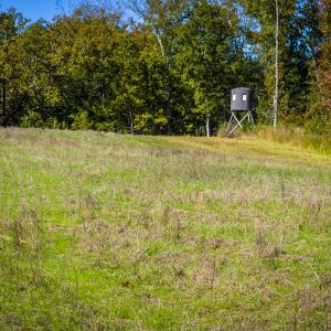 Photo #94 of 784 & 785 Glennie Irvin Road, Semora, NC 146.3 acres