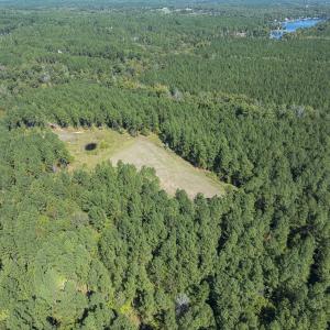 Photo #97 of 784 & 785 Glennie Irvin Road, Semora, NC 146.3 acres