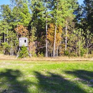 Photo #99 of 784 & 785 Glennie Irvin Road, Semora, NC 146.3 acres