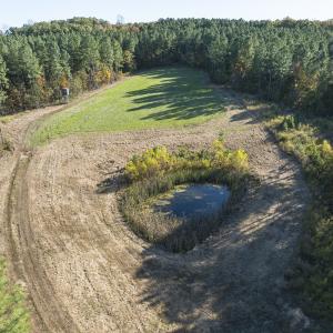 Photo #100 of 784 & 785 Glennie Irvin Road, Semora, NC 146.3 acres