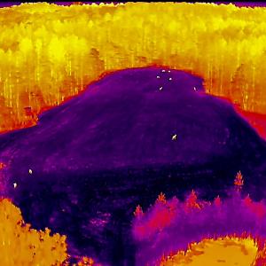 Photo #101 of 784 & 785 Glennie Irvin Road, Semora, NC 146.3 acres