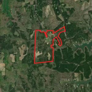 Photo #102 of 784 & 785 Glennie Irvin Road, Semora, NC 146.3 acres