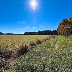 Photo #3 of 467 AC Baum Rd VA & 266 Ac W  Gibbs Rd Currituck Co NC, Currituck, NC 733.0 acres