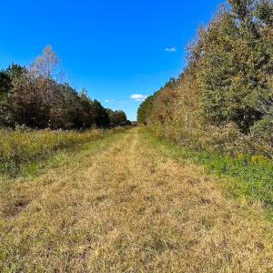 Photo #5 of 467 AC Baum Rd VA & 266 Ac W  Gibbs Rd Currituck Co NC, Currituck, NC 733.0 acres