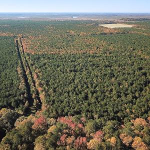 Photo #6 of 467 AC Baum Rd VA & 266 Ac W  Gibbs Rd Currituck Co NC, Currituck, NC 733.0 acres