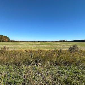 Photo #9 of 467 AC Baum Rd VA & 266 Ac W  Gibbs Rd Currituck Co NC, Currituck, NC 733.0 acres