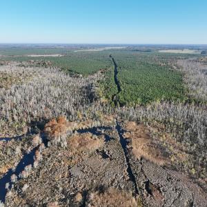 Photo #14 of 467 AC Baum Rd VA & 266 Ac W  Gibbs Rd Currituck Co NC, Currituck, NC 733.0 acres