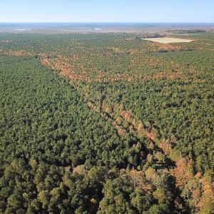 Photo #18 of 467 AC Baum Rd VA & 266 Ac W  Gibbs Rd Currituck Co NC, Currituck, NC 733.0 acres