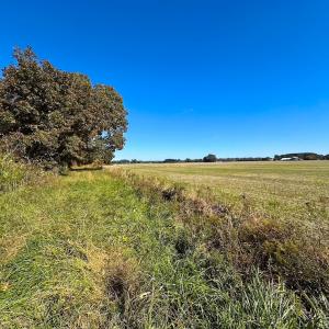 Photo #22 of 467 AC Baum Rd VA & 266 Ac W  Gibbs Rd Currituck Co NC, Currituck, NC 733.0 acres